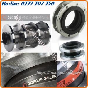 dai-ly-phan-phoi-giorgi-engineering