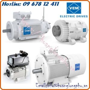 dong-co-dien-vem-motors