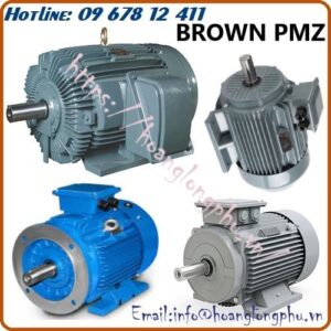 phan-phoi-dong-co-brown-pmz