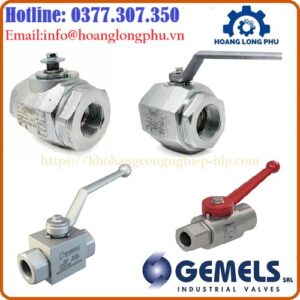 Van bi Gemelst chính hãng