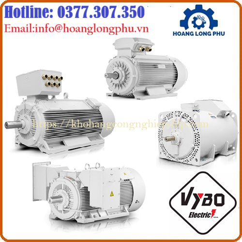 dong-co-vybo-electric-chinh-hang